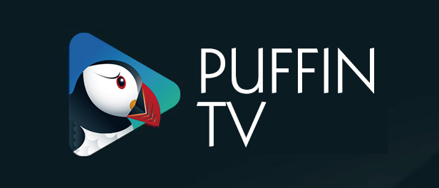 Puffin Browser TV